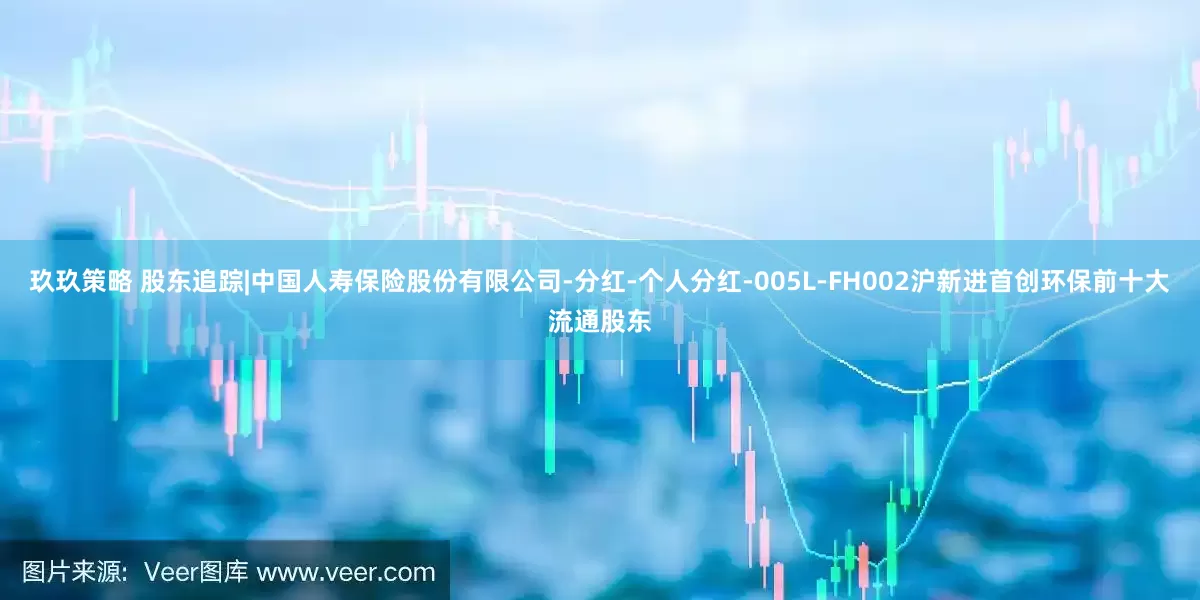玖玖策略 股东追踪|中国人寿保险股份有限公司-分红-个人分红-005L-FH002沪新进首创环保前十大流通股东