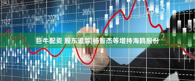 巨牛配资 股东追踪|杨智杰等增持海鸥股份