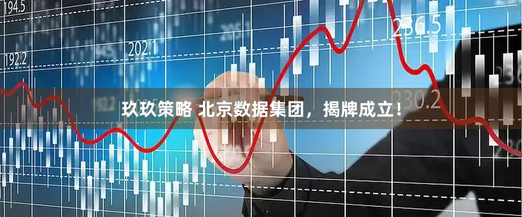 玖玖策略 北京数据集团，揭牌成立！